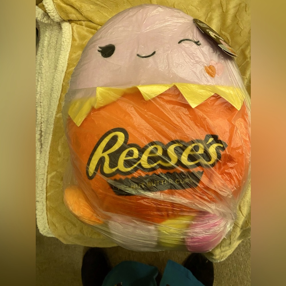 Squishmallow Reese    Jeanne